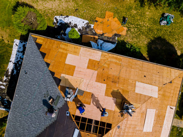 Best Storm Damage Roof Repair  in Maxwell, CA